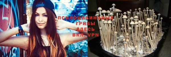 MDMA Беломорск