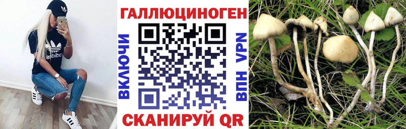 Псилоцибиновые грибы Cubensis  как найти наркотики  Моршанск 